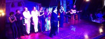 [ID: FNmo–oUXeg] Youtube Automatic