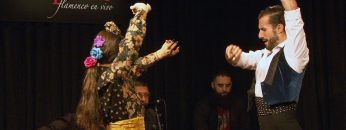 [ID: foUY3KQSeEc] Youtube Automatic