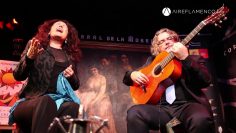 [ID: FQ5kgRKKHJ8] Youtube Automatic