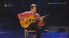 [ID: FrF5E3IMq0M] Youtube Automatic