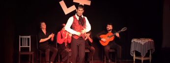 [ID: FSD6u_9orOw] Youtube Automatic