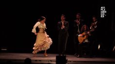 [ID: FsTG0HnqMyo] Youtube Automatic