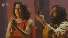 [ID: ftSCFGrKoEg] Youtube Automatic