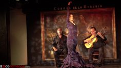 [ID: fxLpov-zk7Q] Youtube Automatic