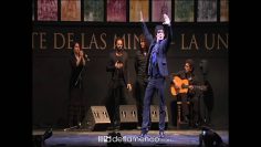 [ID: FY2jivZknrI] Youtube Automatic