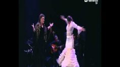 [ID: fzbHiqrWtcI] Youtube Automatic