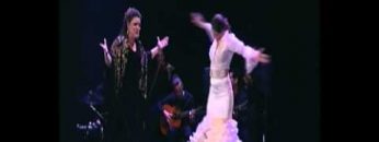 [ID: fzbHiqrWtcI] Youtube Automatic