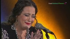 [ID: fZG-AHWGDwc] Youtube Automatic