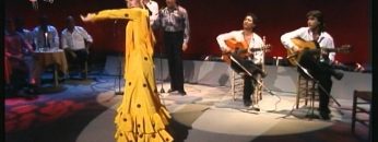 [ID: fZrj8zdudqc] Youtube Automatic