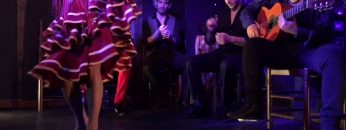 [ID: G4t1N07mjwQ] Youtube Automatic