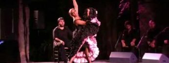 [ID: g7S7gToFdNc] Youtube Automatic