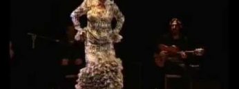 [ID: gaunLs0kyNM] Youtube Automatic