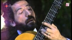 [ID: GFSZxa_hsgs] Youtube Automatic