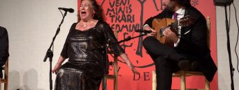 [ID: gHj67v6HzlQ] Youtube Automatic