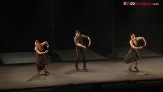 [ID: gIdEa3788O0] Youtube Automatic