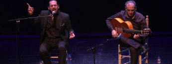 [ID: GkS75cibcUU] Youtube Automatic