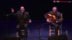 [ID: GkS75cibcUU] Youtube Automatic