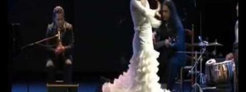 [ID: gLboY7dc7b0] Youtube Automatic