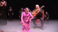 [ID: GmShMOKV6FM] Youtube Automatic