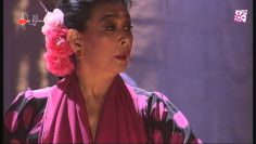 [ID: GoqK_C2eDOk] Youtube Automatic