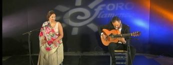 [ID: GptgiIxi-cE] Youtube Automatic