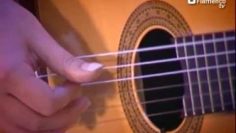 [ID: gpwaFNUxKmM] Youtube Automatic