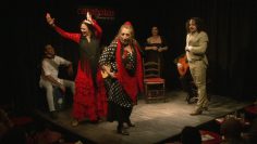 [ID: gQQsi08Ts4U] Youtube Automatic