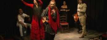 [ID: gQQsi08Ts4U] Youtube Automatic