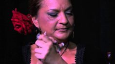 [ID: gqS6gTGKi5o] Youtube Automatic