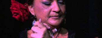 [ID: gqS6gTGKi5o] Youtube Automatic