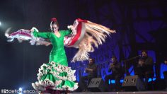 [ID: GRzj8MPD0cc] Youtube Automatic