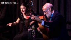 [ID: GVg82mMllEg] Youtube Automatic