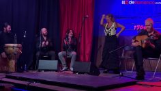 [ID: gvGOCgrOB7w] Youtube Automatic