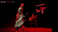 [ID: gwWaNd8r2do] Youtube Automatic