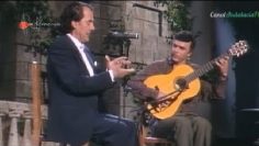 [ID: gzbuhAd03HM] Youtube Automatic