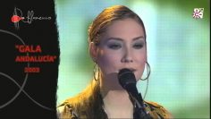 [ID: GzoLj0LK9cg] Youtube Automatic