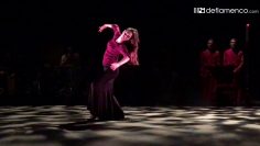 [ID: h-SNmUNlMZY] Youtube Automatic