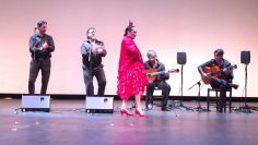 [ID: h2eLhgfvzVc] Youtube Automatic