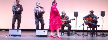 [ID: h2eLhgfvzVc] Youtube Automatic