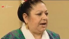 [ID: h4mMTo5AksM] Youtube Automatic