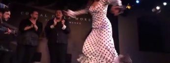 [ID: H7IJ7LFKFHE] Youtube Automatic