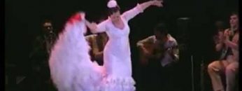 [ID: -H94NC9KIJ4] Youtube Automatic