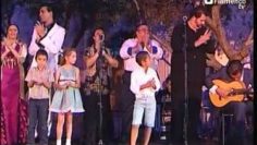 [ID: HAA-jilRkzY] Youtube Automatic