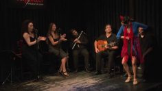 [ID: hByDVLZloAc] Youtube Automatic