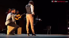 [ID: hca3t22PVCQ] Youtube Automatic