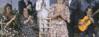 [ID: HCjlEUfEHUc] Youtube Automatic