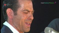 [ID: Hi3_Nre4_T4] Youtube Automatic