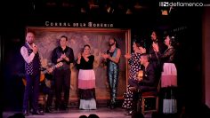 [ID: Hj7Xw1EuNC8] Youtube Automatic