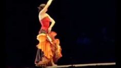 [ID: HjlD6u9Zwqg] Youtube Automatic