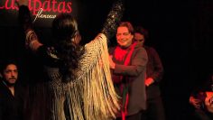 [ID: hJOTE881Apc] Youtube Automatic